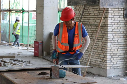 昌江海墾果蔬西部食品加工廠項目穩步推進，力爭早日建成達效